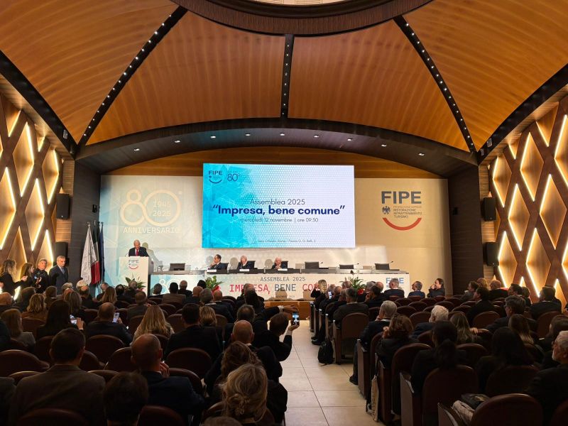 fipe assemblea