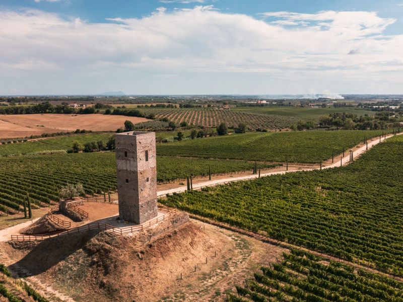 intervista oniwines veronesi 3