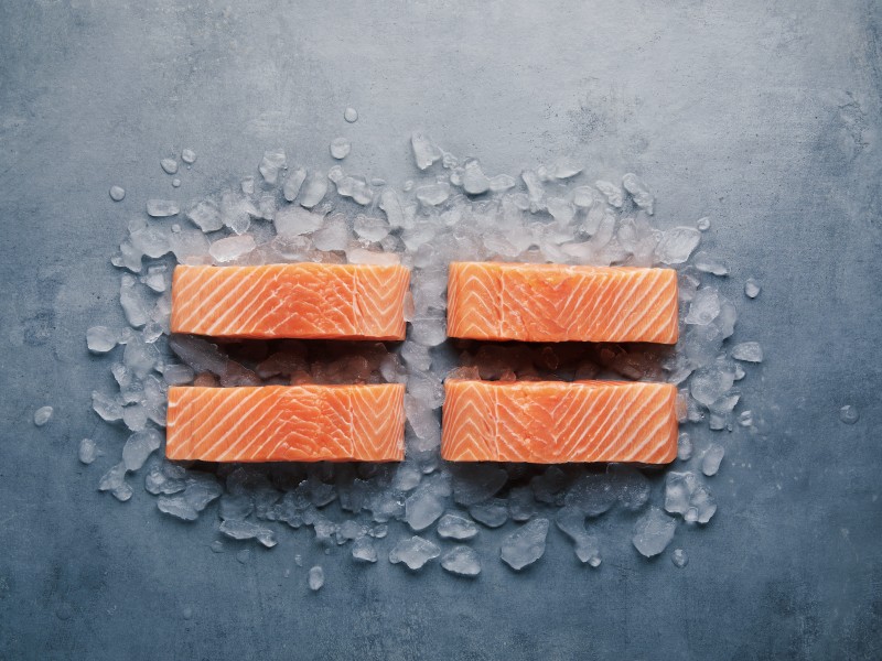 salomone norvegese foodservice 2