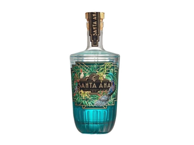 gin 1