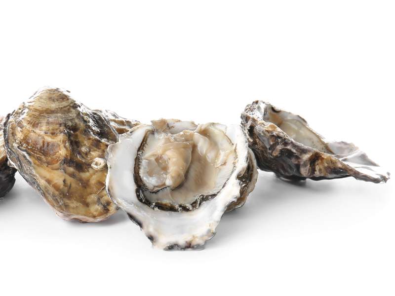 Le ostriche di Bretagna arrivano nel catalogo di GranChef Le ostriche di Bretagna arrivano nel catalogo di GranChef