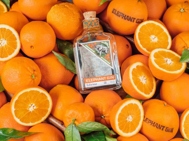 L'etichetta super premium Elephant Gin entra nel portfolio di Compagnia dei Caraibi