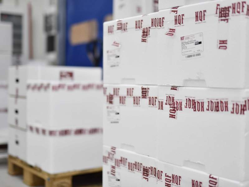 A Cernusco sul Naviglio apre la nuova filiale di HQF per il Nord Italia