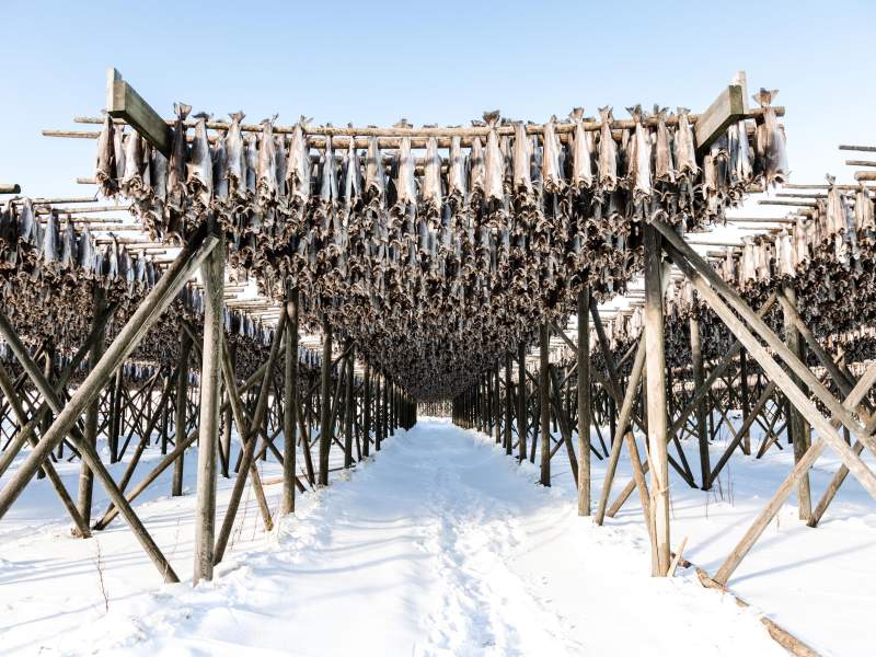 Lo stoccafisso norvegese promosso da Norwegian Seafood Council protagonista alla finale europea del Bocus d'Or 2024