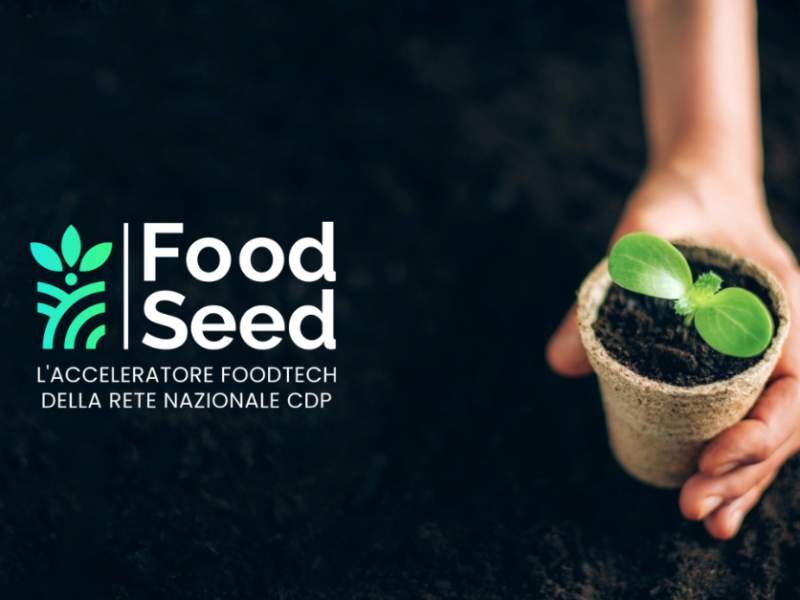 Da marzo, al via il roadshow di FoodSeed da Verona Da marzo, al via il roadshow di FoodSeed da Verona