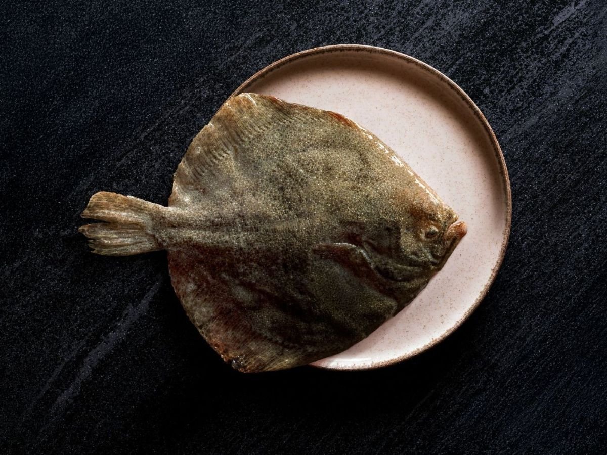 Il rombo da acquacoltura di Neptura