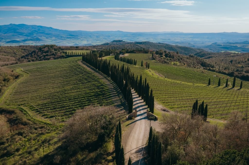 Poggio Antico, 560 bottiglie per il primo Chardonnay della tenuta