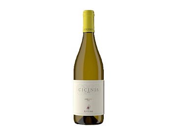 Il Sauvignon Blanc millesimato Cininis 2025 di Attems
