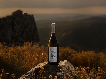 La nuova etichetta low alcol Sa Frissa di Argiolas
