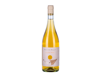 argea-vino-1